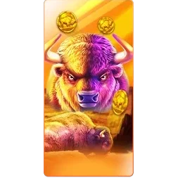 Buffalo
King